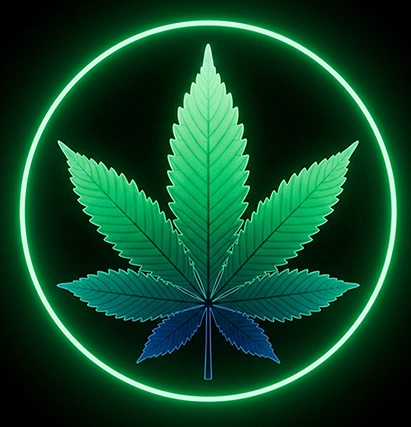 Mayzen CBD
