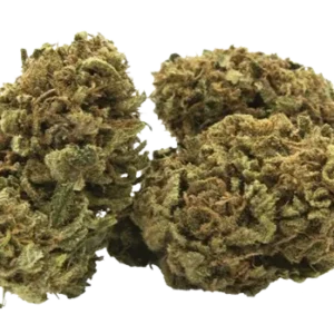 Fleurs de chanvre CBD Greenhouse type Skunk IBL, de couleur verte.