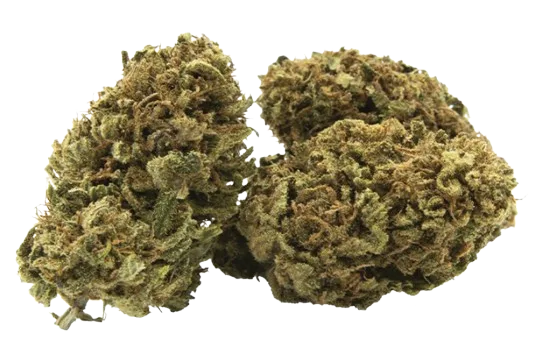 Fleurs de chanvre CBD Greenhouse type Skunk IBL, de couleur verte.
