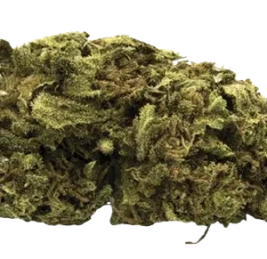 Fleur de chanvre CBD en Vrac certifiée Demeter Greenhouse, texture dense.