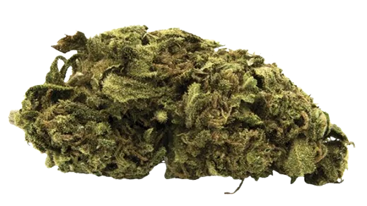 Fleur de chanvre CBD en Vrac certifiée Demeter Greenhouse, texture dense.