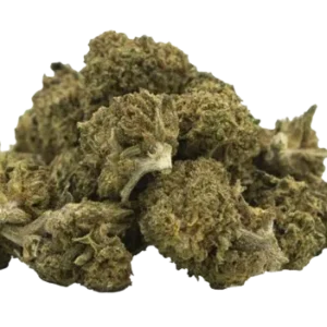 Fleurs de chanvre CBD Fruit Cake small bud de culture sous-serre.