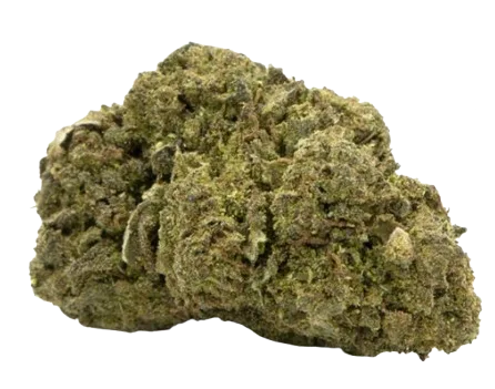 Fleur de chanvre CBD Rainbow Big Greenhouse, compacte et de couleur verte.