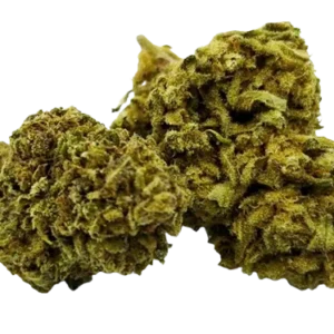 Fleurs de CBD Sour Diesel Toulousaine de qualité supérieure sous serre